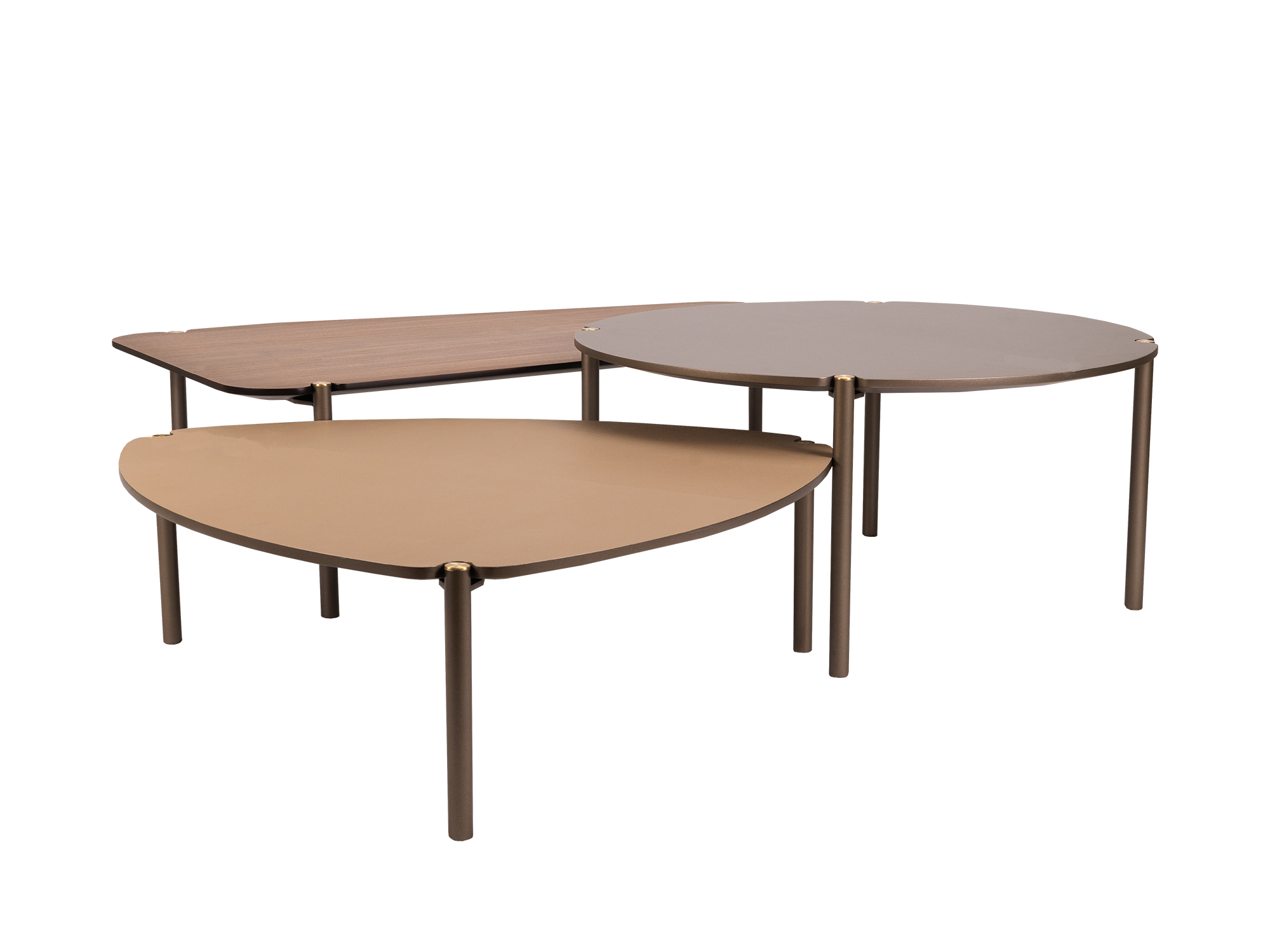 Iummi Design que Complementa